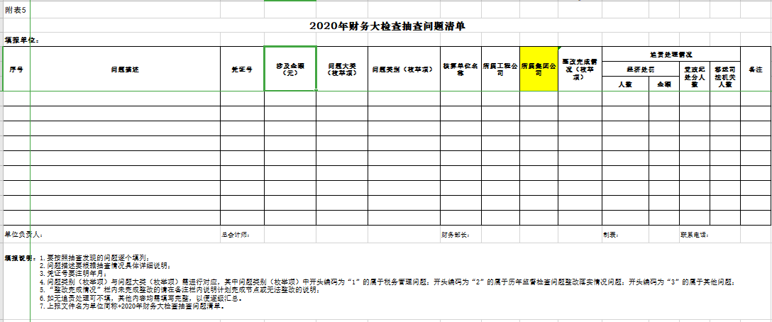 2020年财务大检查抽查暨专项整治行动验收工作方案